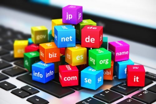 Domain Adı Tescili (.NET)